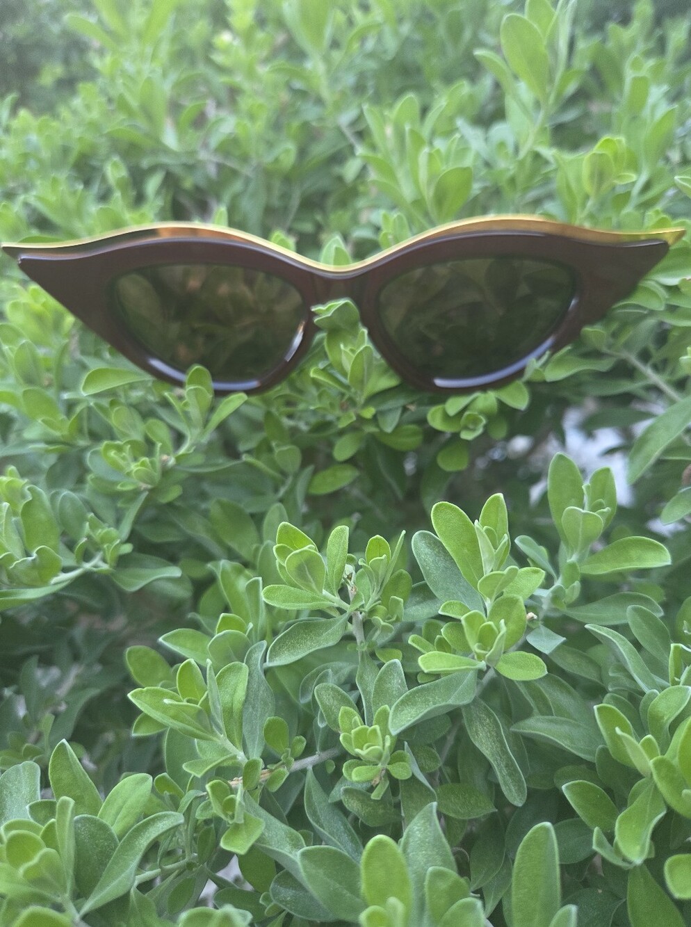 Retro Cat Eye Womens Sunglasses - Burgandy